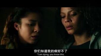 在线免费看欧美电影,免费观影之旅开启！